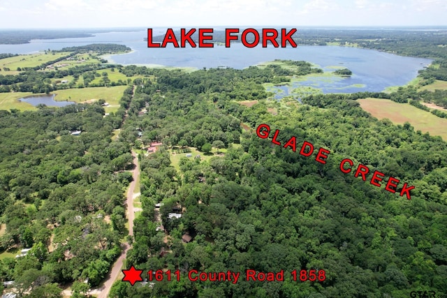 1611 County Road 1858, Yantis, TX 75497 - bird's eye view of a nearby body of water and a heavily wooded area