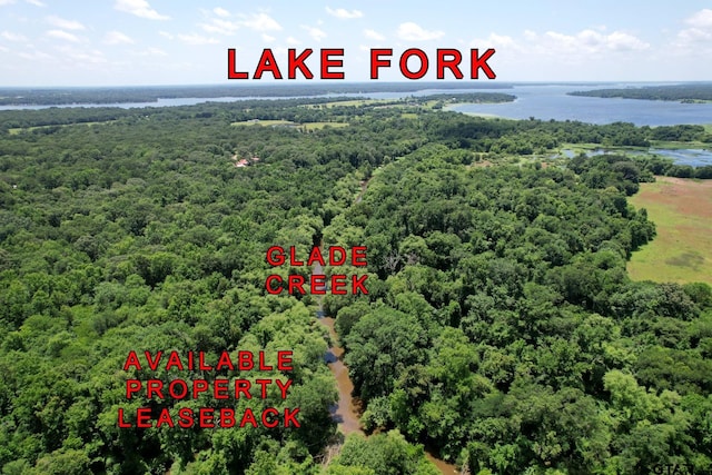 1611 County Road 1858, Yantis, TX 75497 - drone / aerial view of a heavily wooded area and a nearby body of water