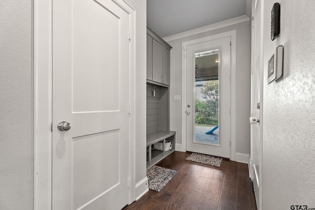 mudroom with dark hardwood / wood-style flooring and crown molding