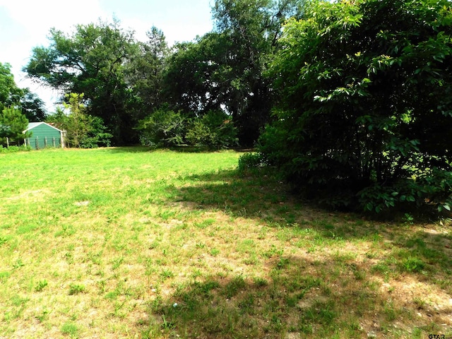 view of yard with a storage unit