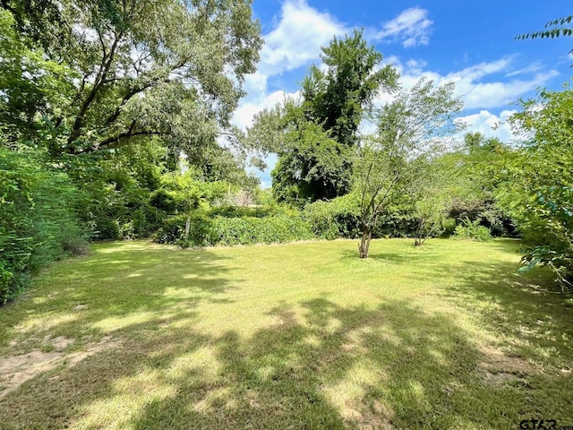 410 Hanes Blvd, Hughes Springs, TX 75656 - photo 35
