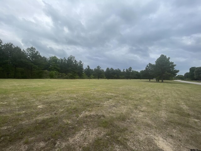 TBD County Road 446, Lindale, TX 75771 - photo 6
