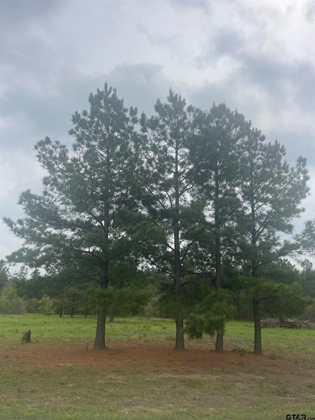 Listing photo 3 for TBD County Road 446, Lindale TX 75771