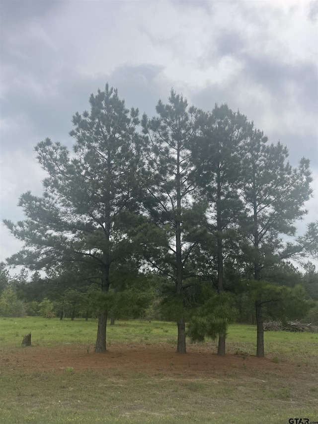 TBD County Road 446, Lindale, TX 75771 - photo 3