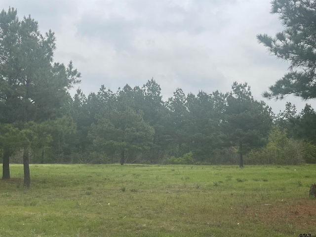 Listing photo 2 for TBD County Road 446, Lindale TX 75771