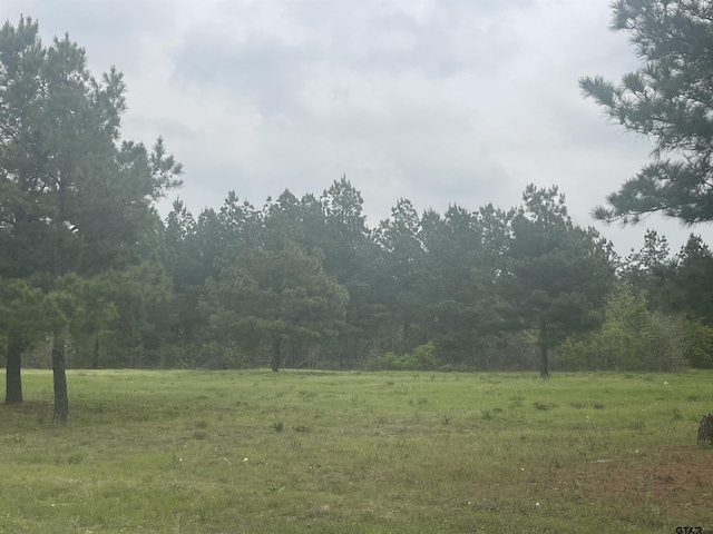 TBD County Road 446, Lindale, TX 75771 - photo 2