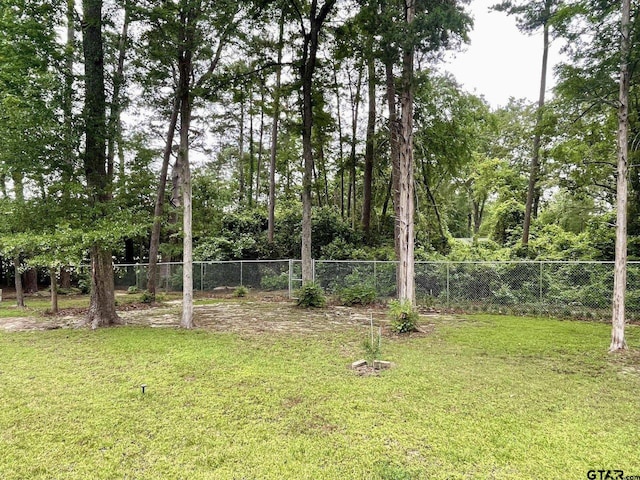 609 Francis St, Hawkins, TX 75765 - view of yard