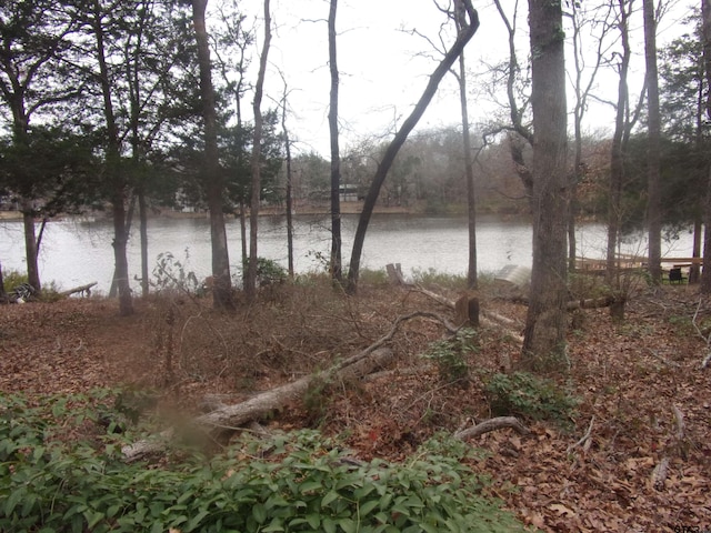 198 Sweetgum Trl, Murchison, TX 75778