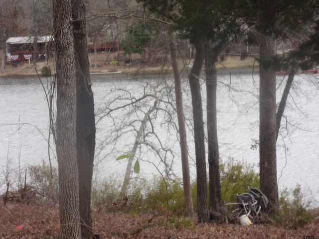 198 Sweetgum Trl, Murchison, TX 75778