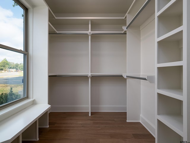 spacious closet featuring dark hardwood / wood-style floors