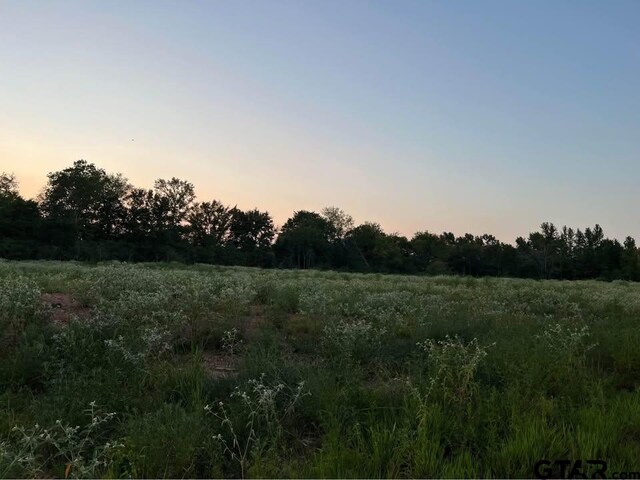 TBD Fm 42, Price, TX 75687
