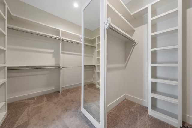 walk in closet with carpet flooring