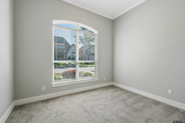 carpeted empty room featuring ornamental molding