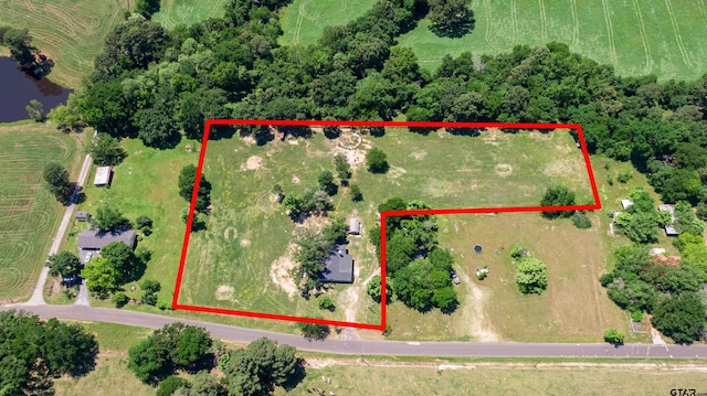 1605 County Road 4510, Winnsboro, TX 75494 - aerial view of sparsely populated area with property parcel outlined