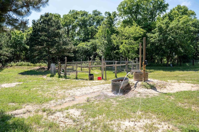1605 County Road 4510, Winnsboro, TX 75494 - view of yard