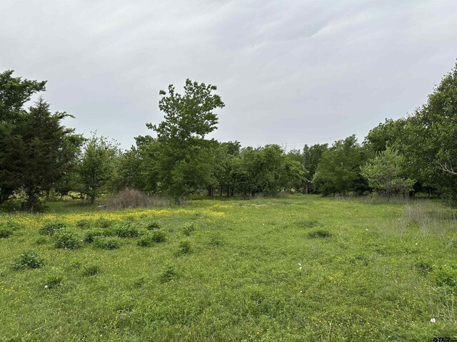 1125 W Fm 917, Joshua, TX 76058