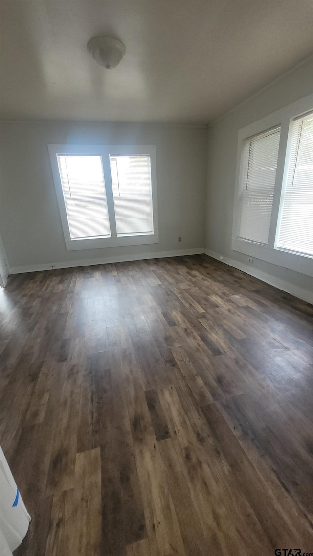 spare room featuring baseboards, dark wood-style floors, and plenty of natural light