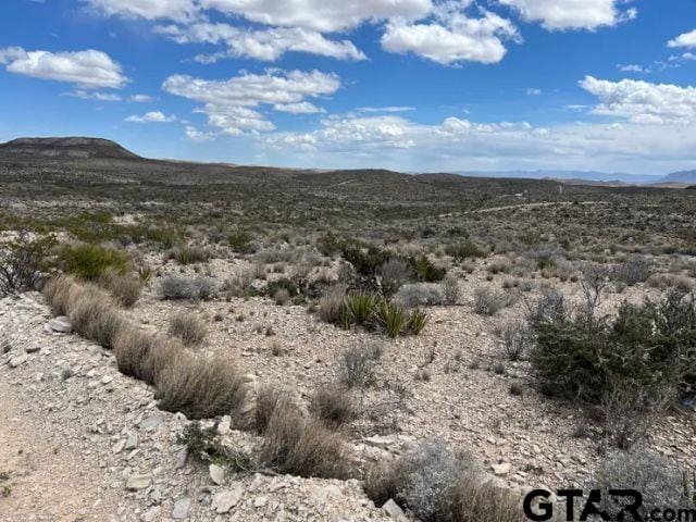 21231 Slate Spgs, Terlingua TX, 79852 land for sale