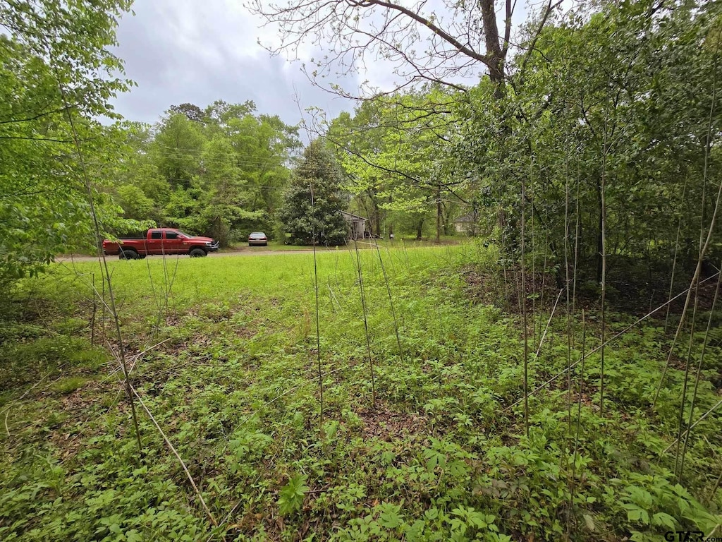 617 Timmons, Gilmer, TX 75644 - photo 4
