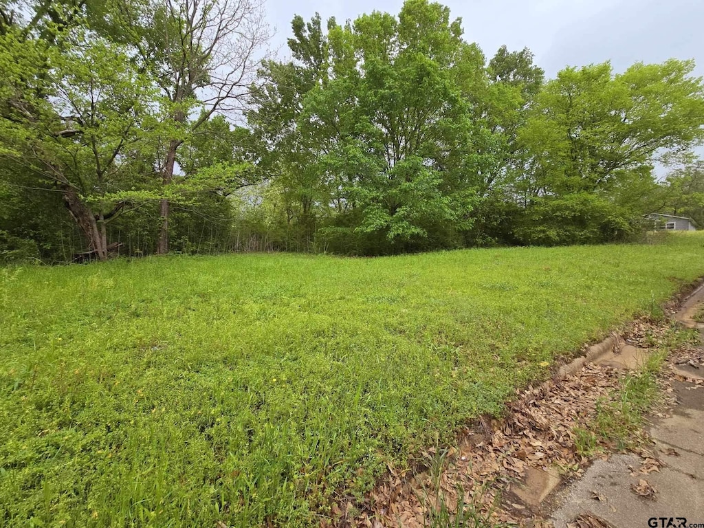 617 Timmons, Gilmer, TX 75644 - photo 1