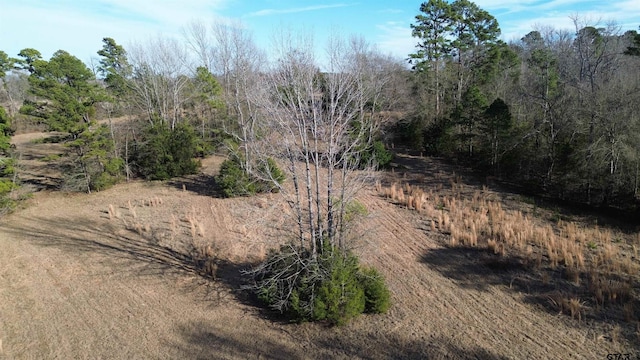 Listing photo 3 for 562 County Road 4430, Winnsboro TX 75494