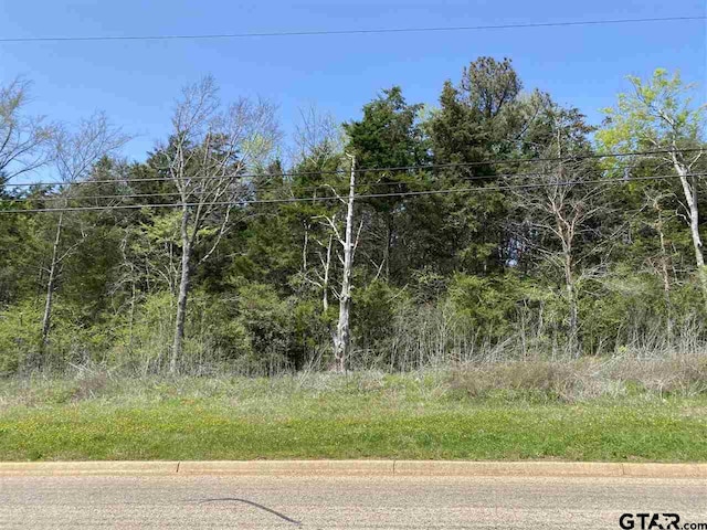 Listing photo 3 for TBD Highway 135, Jacksonville TX 75766