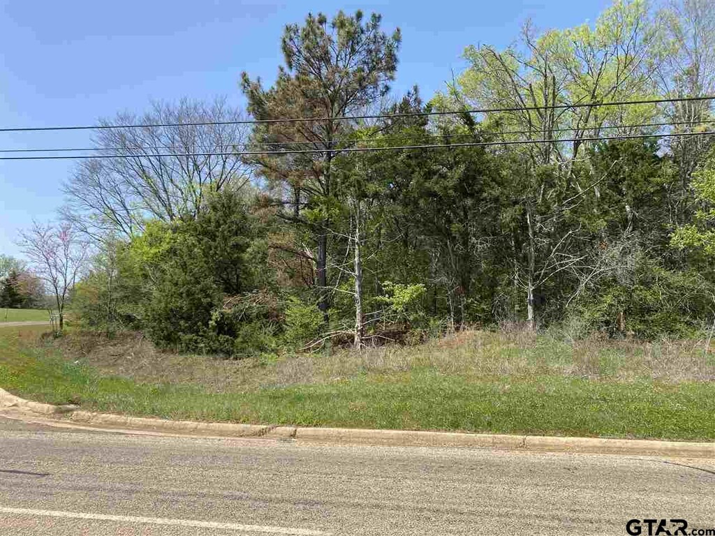 TBD Highway 135, Jacksonville, TX 75766 - photo 2