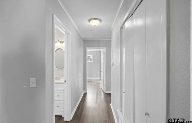 hall with crown molding and dark hardwood / wood-style floors