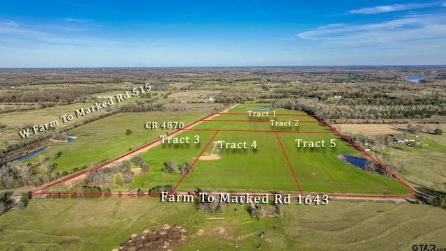 TRACT5 Fm 1643, Winnsboro, TX 75494