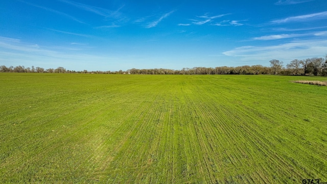 TRACT5 Fm 1643, Winnsboro, TX 75494