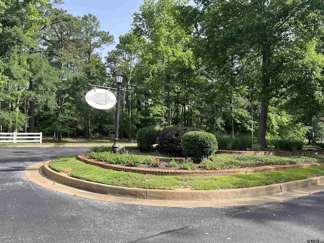 4020 Hanover Pl, Tyler, TX 75701 - exterior space with street lights and curbs