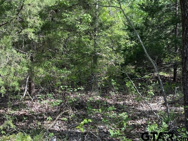 0 Fm 3079, Chandler, TX 75758 - photo 21