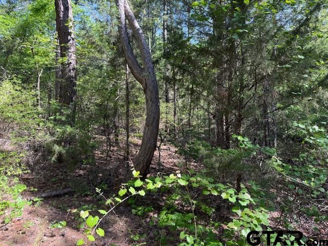 0 Fm 3079, Chandler, TX 75758 - photo 12