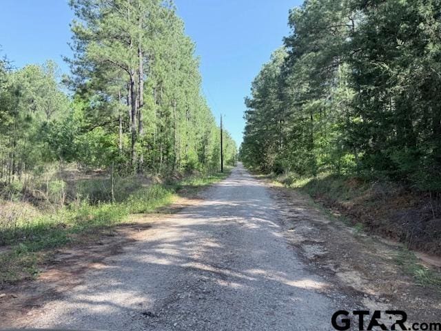 0 Fm 3079, Chandler, TX 75758 - photo 4