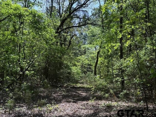 0 Fm 3079, Chandler, TX 75758 - photo 17