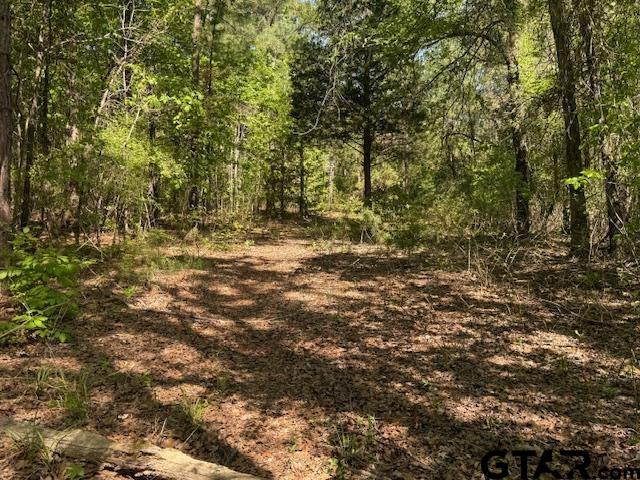 0 Fm 3079, Chandler, TX 75758 - photo 9