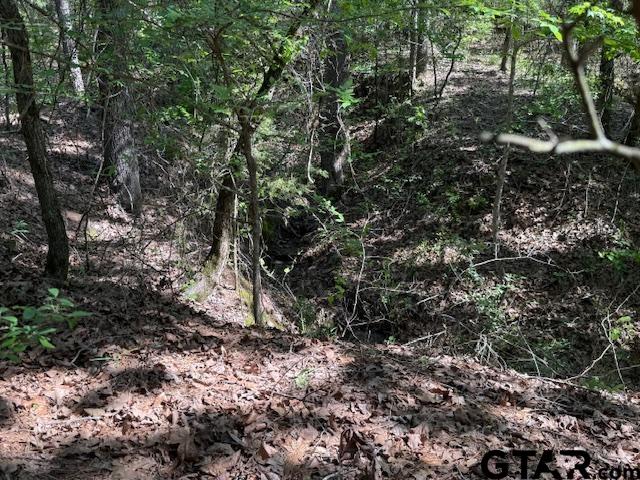0 Fm 3079, Chandler, TX 75758 - photo 10