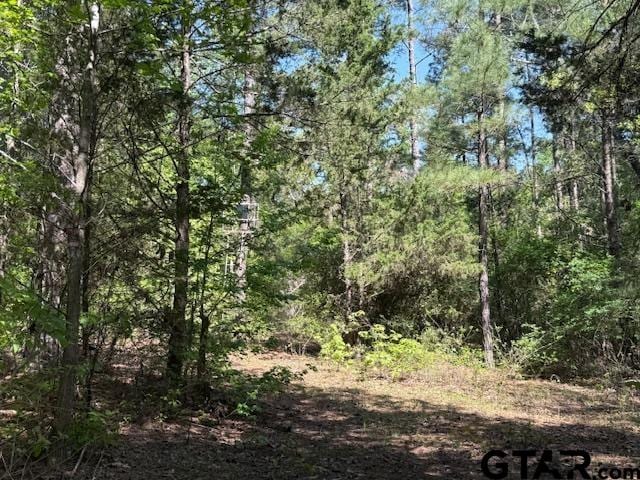 0 Fm 3079, Chandler, TX 75758 - photo 18
