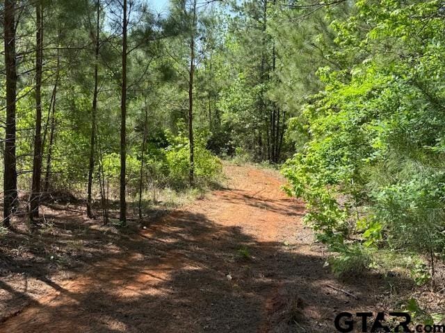 0 Fm 3079, Chandler, TX 75758 - photo 23