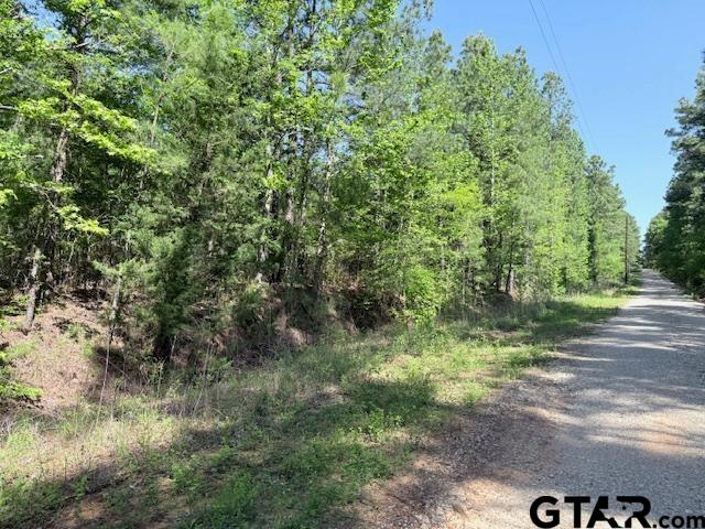 0 Fm 3079, Chandler, TX 75758 - photo 24