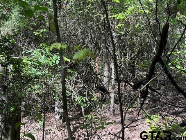0 Fm 3079, Chandler, TX 75758 - photo 16