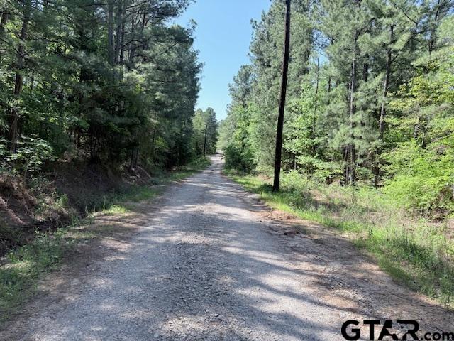 0 Fm 3079, Chandler, TX 75758 - photo 2