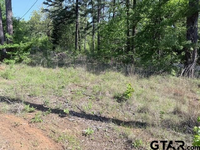 0 Fm 3079, Chandler, TX 75758 - photo 5