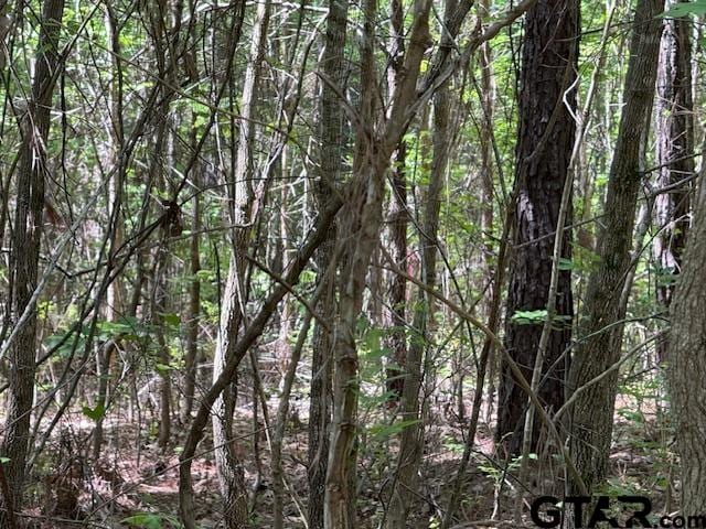 0 Fm 3079, Chandler, TX 75758 - photo 22