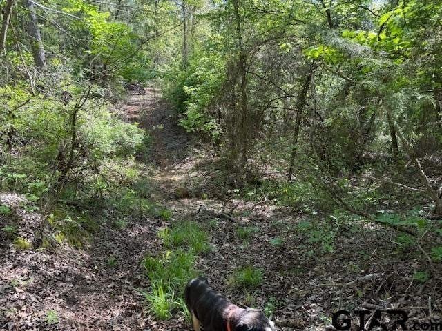 0 Fm 3079, Chandler, TX 75758 - photo 7