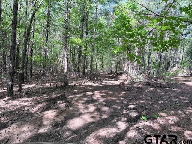 0 Fm 3079, Chandler, TX 75758 - photo 6