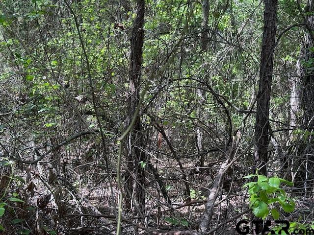 0 Fm 3079, Chandler, TX 75758 - photo 15
