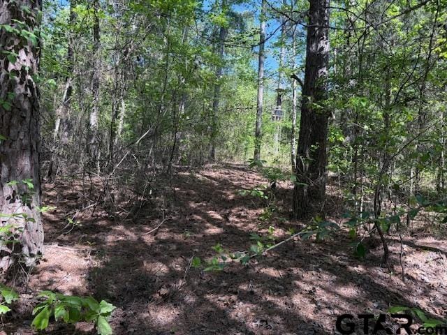 0 Fm 3079, Chandler, TX 75758 - photo 14