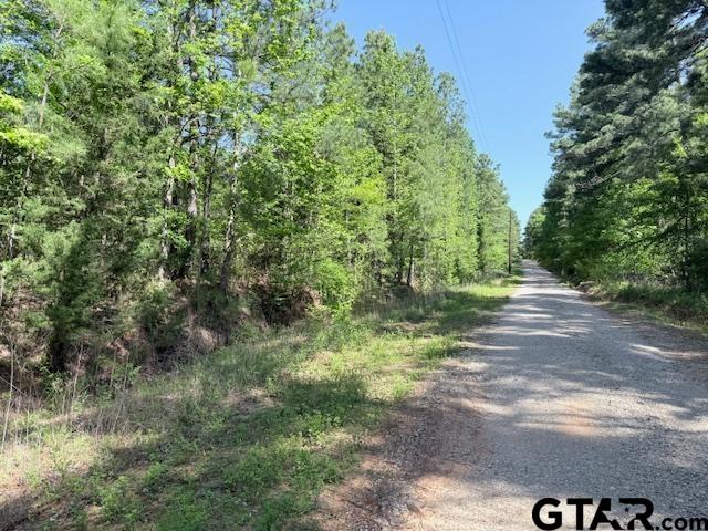 0 Fm 3079, Chandler, TX 75758 - photo 3