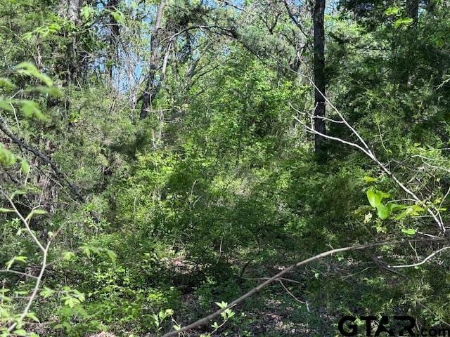 0 Fm 3079, Chandler, TX 75758 - photo 20